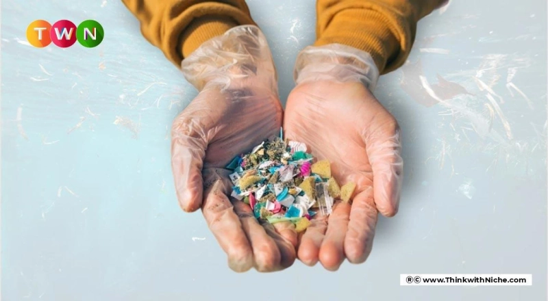 The Macro Problem Of Microplastic