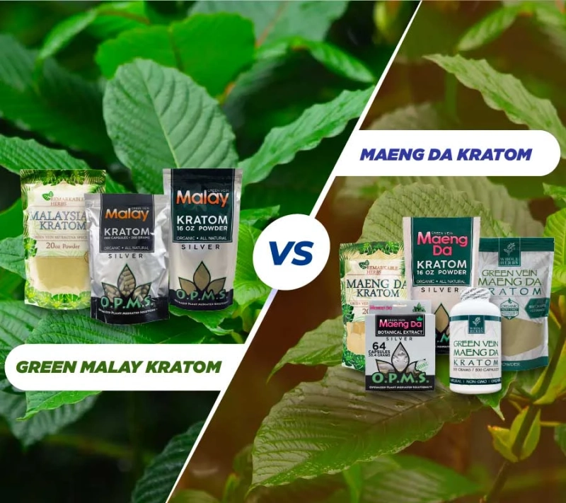 Green Malay Kratom vs. Maeng Da Kratom: An analysis