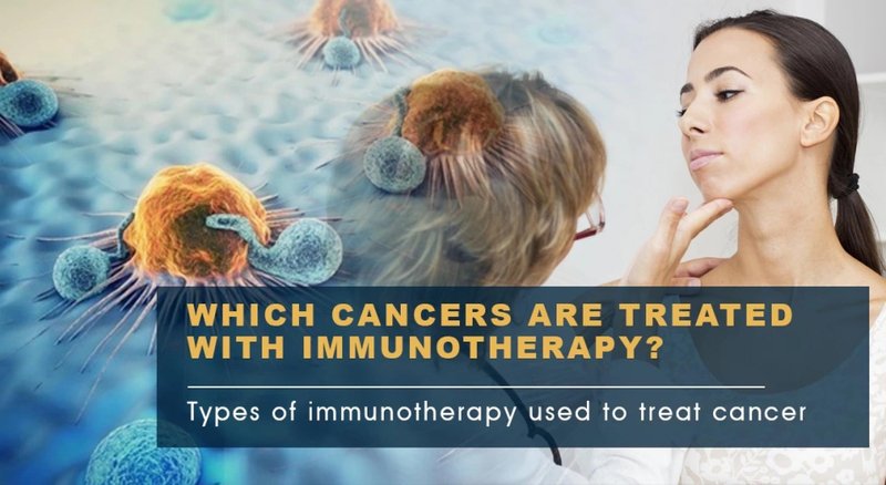 Which Cancers Are Treated With Immunotherapy? Types of Immunotherapy Used to Treat Cancer