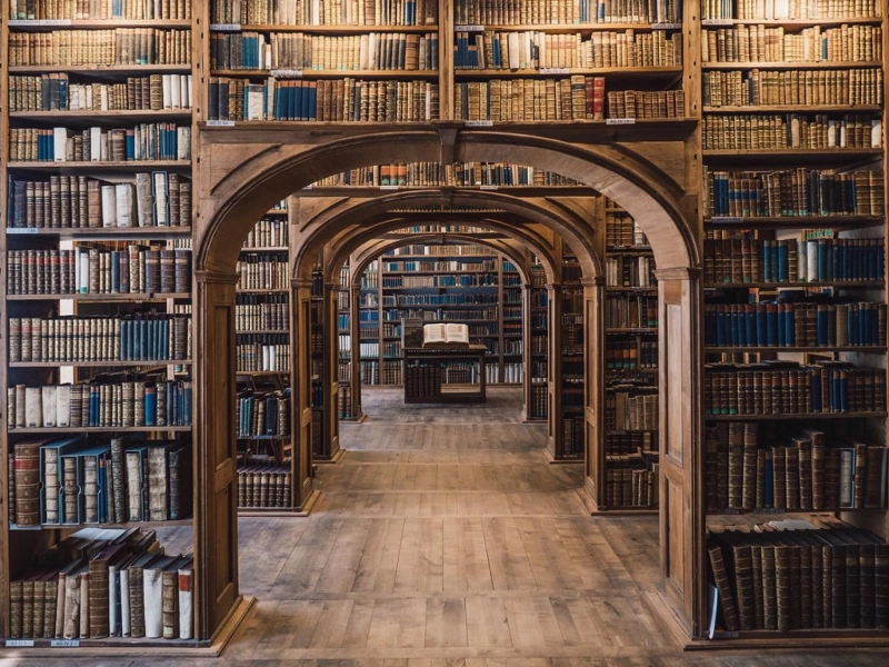 The Growing Importance of Digital Libraries in Universities Today
