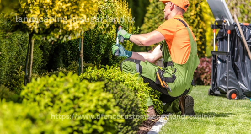 The Future of Landscaping in Sugar Land: What to Expect