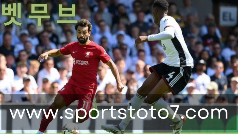 Online Wagering on Soccer Matches is Possible