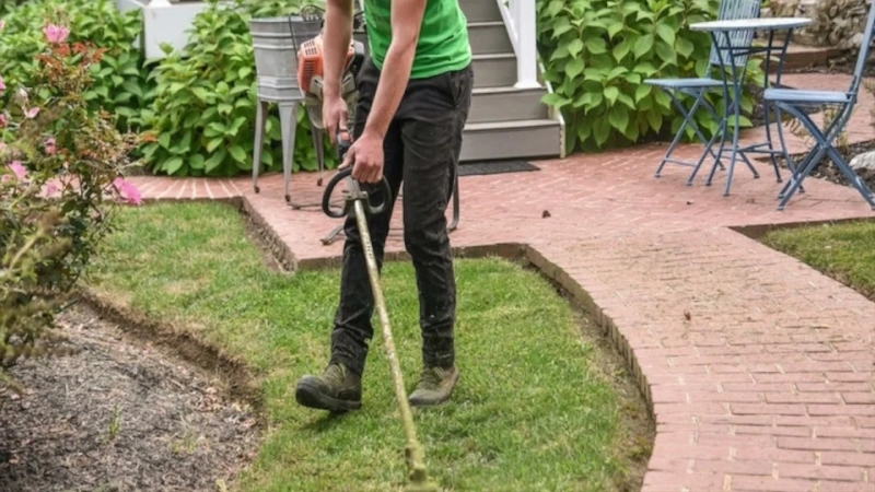 How a Landscaping and Lawn Care Expert Keeps Your Lawn Looking Alive
