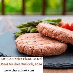 Latin America Plant-Based Meat Market Outlook, 2026