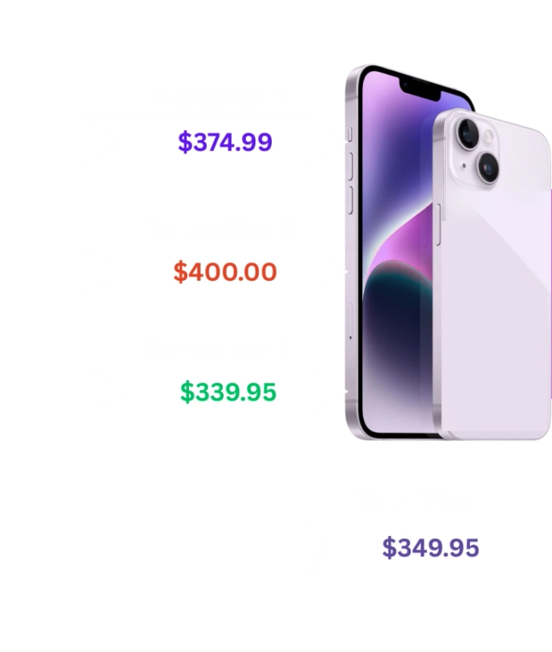 Adapting Pricing Strategy in a Competitive Market