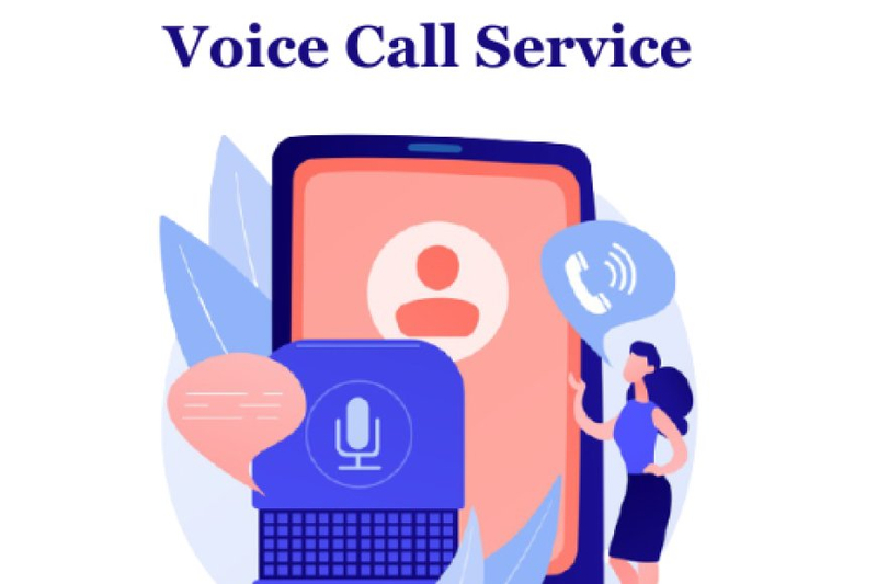Voice Call Campaigns: Business Promotional Success