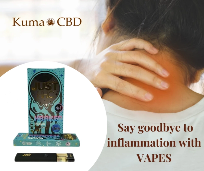 Everything You Need to Know About the HHC Disposable Vape Kraken
