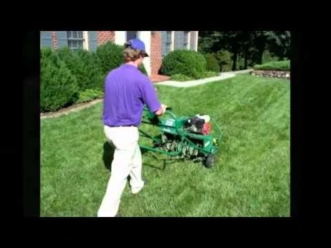 Boost Your Yard’s Health with This Essential Soil Treatment