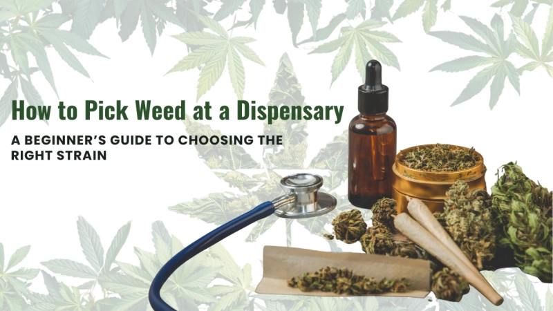 How to Pick Weed at a Dispensary: A Beginner’s Guide to Choosing the Right Strain