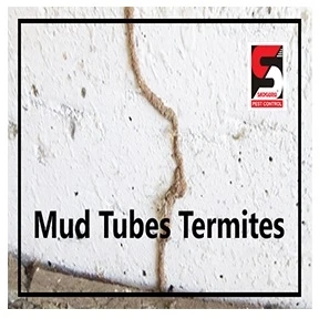 Pest Control Services in Goregoan - Sadguru Pest Control