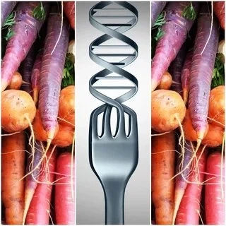 Nutrigenomics Market Growth, Trends, Future Opportunities, Analysis and Forecast To 2025 | Research Informatic
