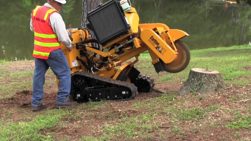 The Benefits Of Tree Stump Grinding