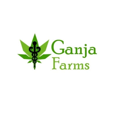 The Best Indica Strains USA Helps You to Relax
