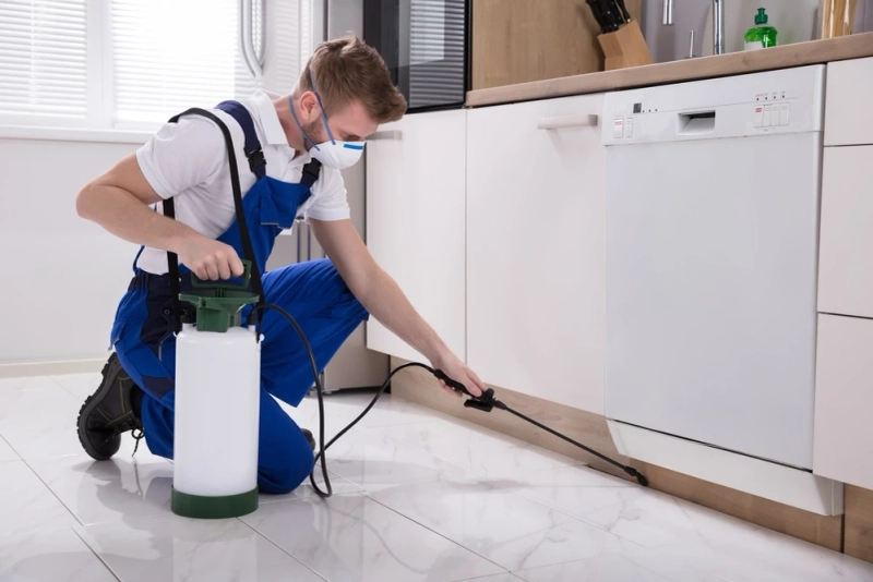 Pest Control Market Share, Key Players, Trends and Forecast 2023-2028