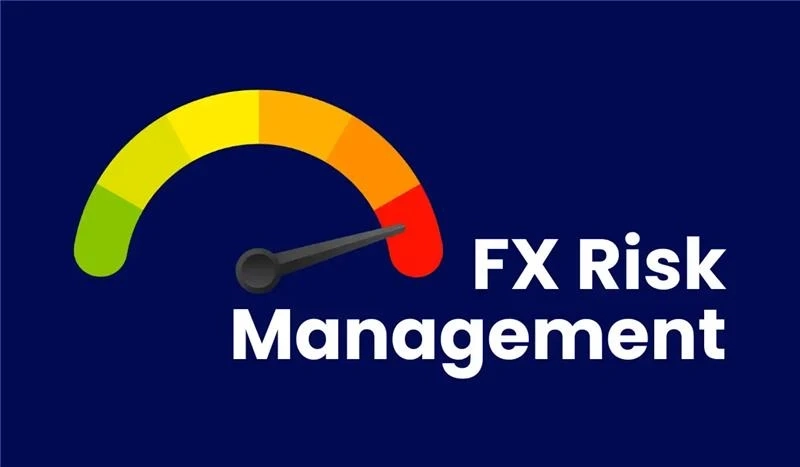 The Ultimate Guide to Managing Foreign Exchange Risk for SMBs