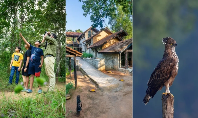 Unwind in the Jungle: Trekking, Birdwatching & Luxury Stays in Kanha National Park