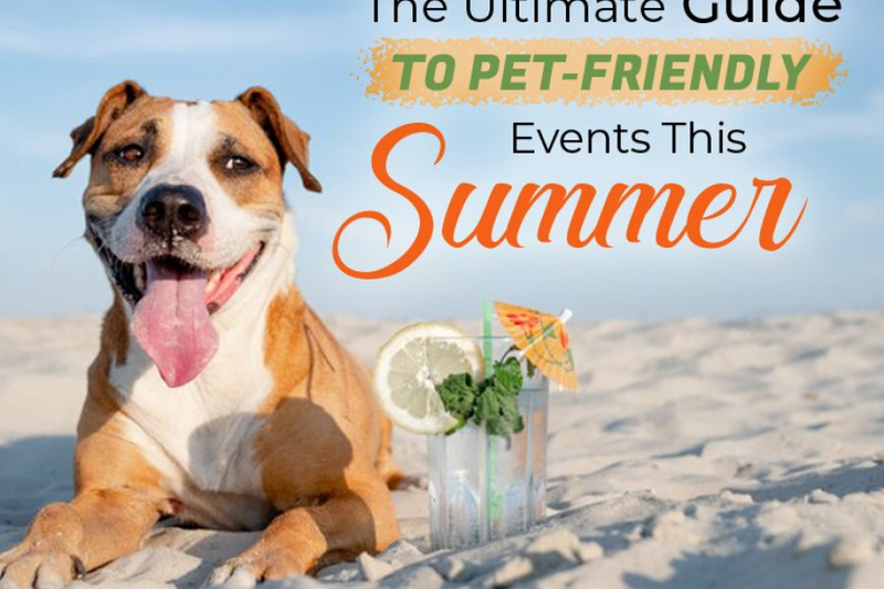 The Ultimate Guide to Pet-Friendly Events This Summer
