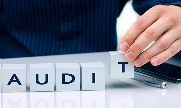 Top Audit Support Companies for Startups and SMEs