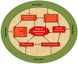 Aim at chemical synthesis through Ibuprofen