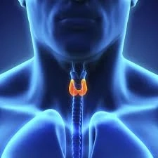 Comprehensive Hormone Care and Growth Solutions in Lahore