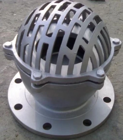 Foot Valve supplier in Australia