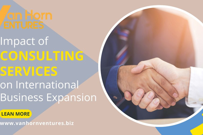 Impact of Consulting Services on International Business Expansion