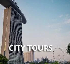Singapore Travel Guide: Tourist Pass Transport & Tips