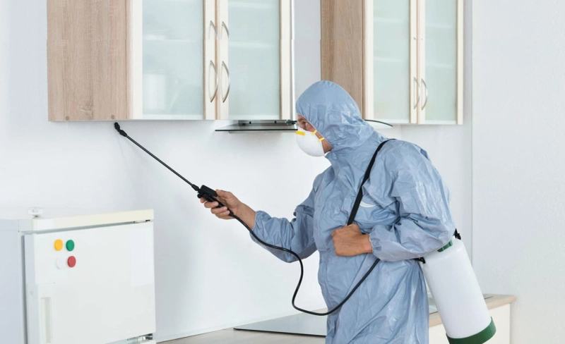 Ultimate Benefits Of Hiring Professional Pest Control Services