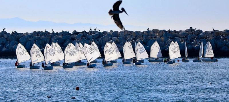 Navigating Your First Wind: Learn to Sail in Los Angeles with Confidence