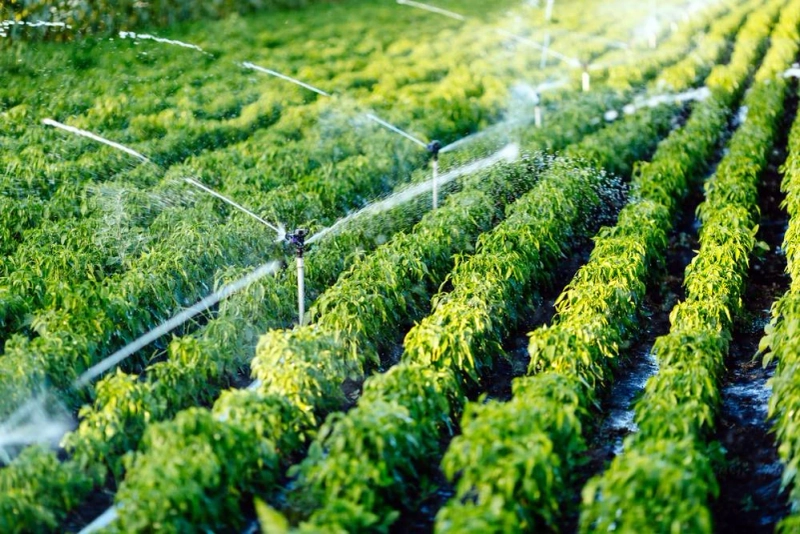 Global Micro Irrigation System Market expected to expand at a CAGR of more than 9% by 2027