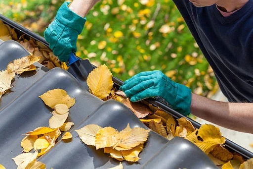 The Benefits of Hiring Professional Gutter Cleaners in Texas!