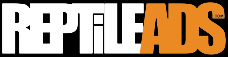 The Rise of Responsible Reptile Keeping: How Online Marketplaces Are Changing the Hobby