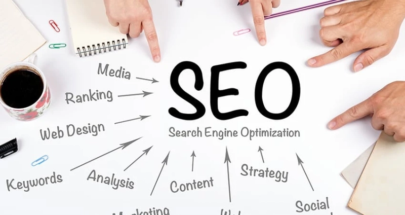 How An SEO Services NZ Can Help You With Your Marketing Needs