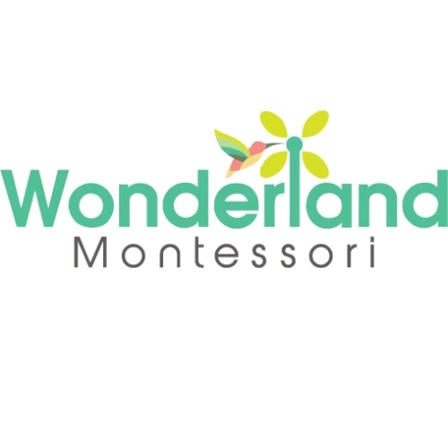 The importance of practical life skills in the Montessori curriculum at Wonderland Montessori