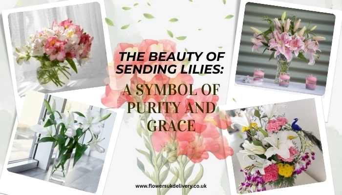 The Beauty of Sending Lilies: A Symbol of Purity and Grace