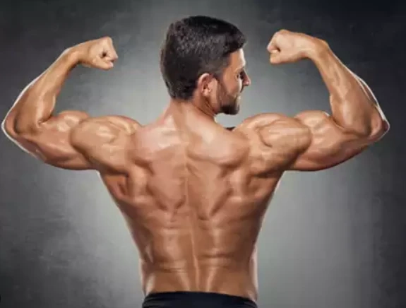 Building Your Best Body: The Science of Effective Fitness Workouts