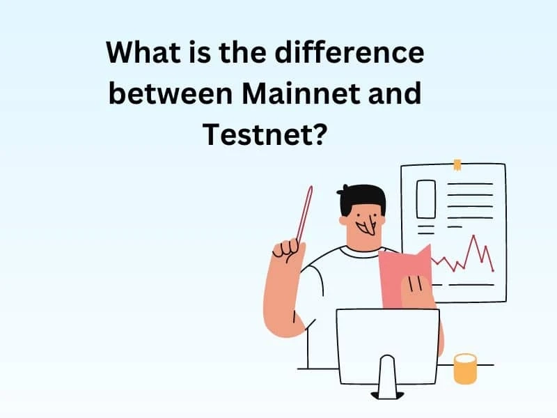 What is the difference between Mainnet and Testnet?