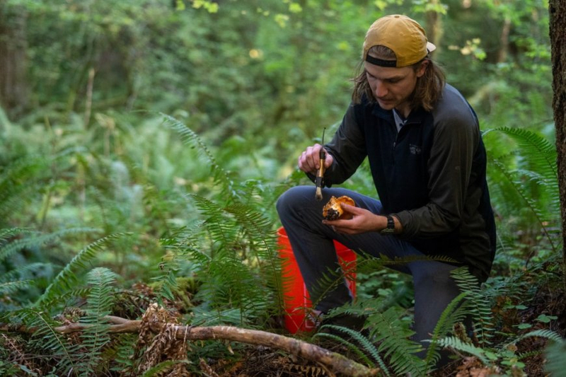 Foraged’s wild foods marketplace saw repeat customer rate increase over 1,000%