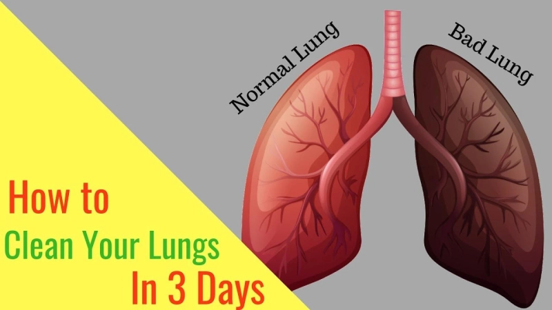 How to Cleanse Lungs Properly