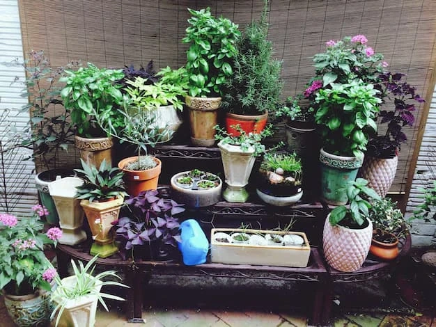 What is a Plantscape and How Can It Transform Your Space?