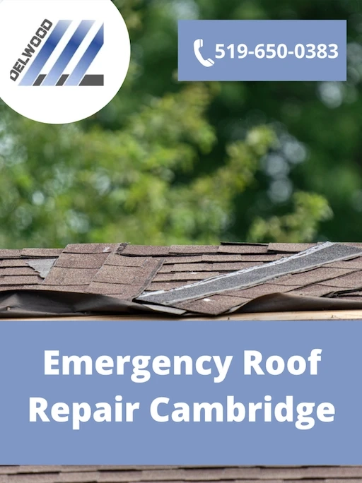 Emergency Roof Repair Cambridge– Have a Leaky Roof?