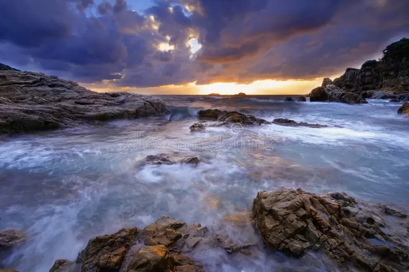 The Science of Healthy Aging: Daily Habits That Help You Stay Strong, Energetic, and Mentally Sharp