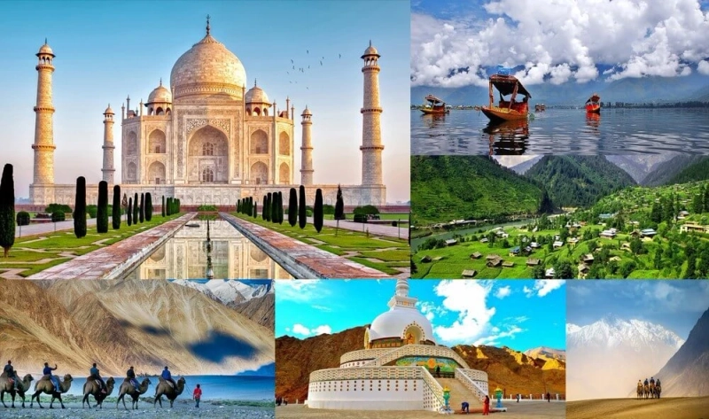 India Tour Highlights: Monuments, Wildlife, and Local Life