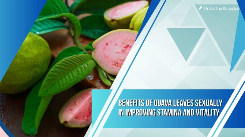 Benefits of Guava Leaves Sexually in Improving Stamina and Vitality