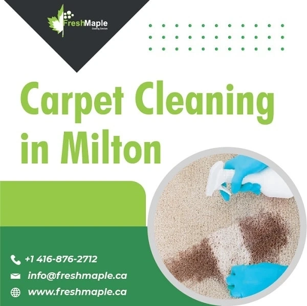 Most Effective And Efficient Services Of Carpet Cleaning In Milton