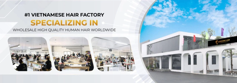 Luxshine Hair - #1 Trusted Vietnamese Hair Vendor, Wholesale Hair Extentions
