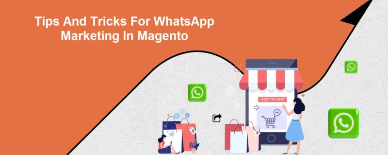 Tips And Tricks For WhatsApp Marketing In Magento