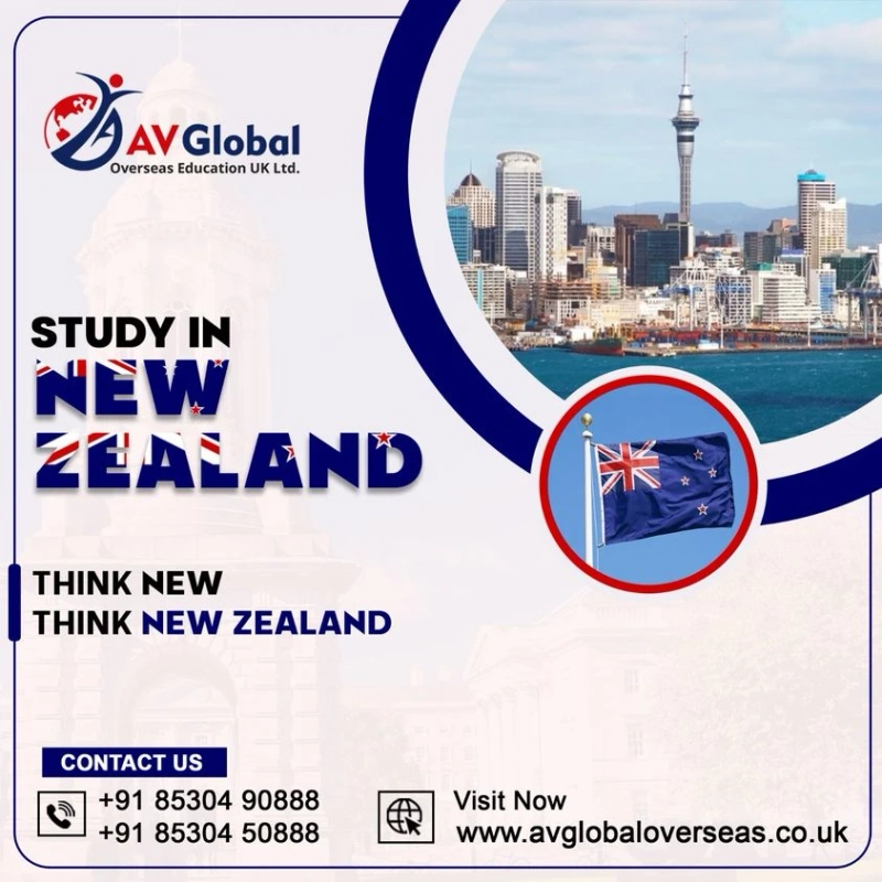 Unlocking Excellence: The Allure of Studying in New Zealand for International Students