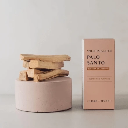 The Power of Palo Santo Incense Sticks and How to Use Them with Incense Stick Holders for Enhanced Benefits