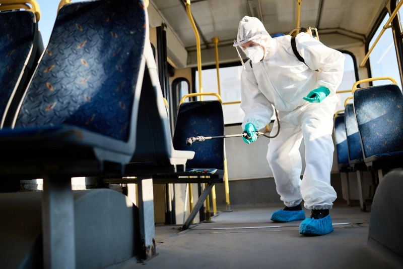 What Are the Warning Signs That You Need Immediate Pest Control Services?